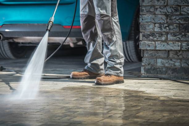 Best Gutter Cleaning  in Schriever, LA