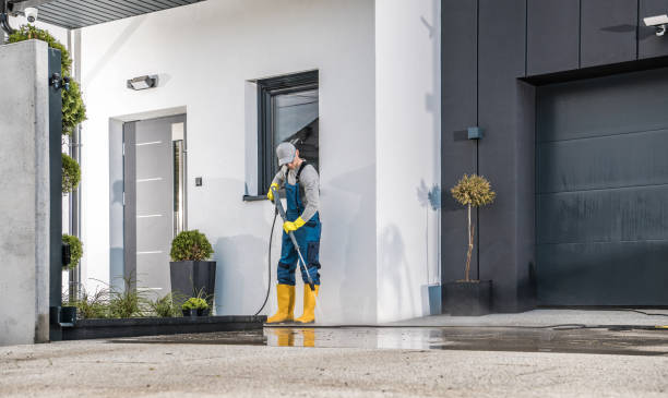 Best Boat and Dock Cleaning  in Schriever, LA